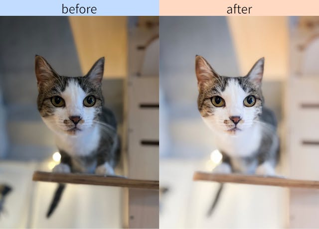 レタッチで“うちの子らしさ”をもっと表現