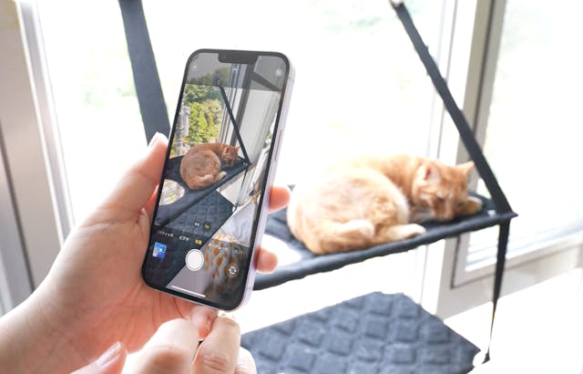 スマホ一台でチャレンジできる