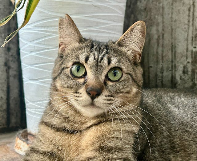 初心者の方でも大丈夫◎