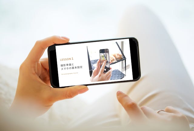 自分のペースで何度も繰り返し学べる