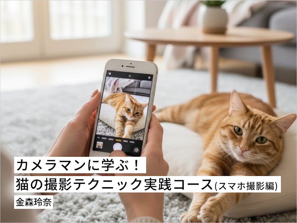 カメラマンに学ぶ！猫の撮影テクニック実践コース（スマホ撮影編）