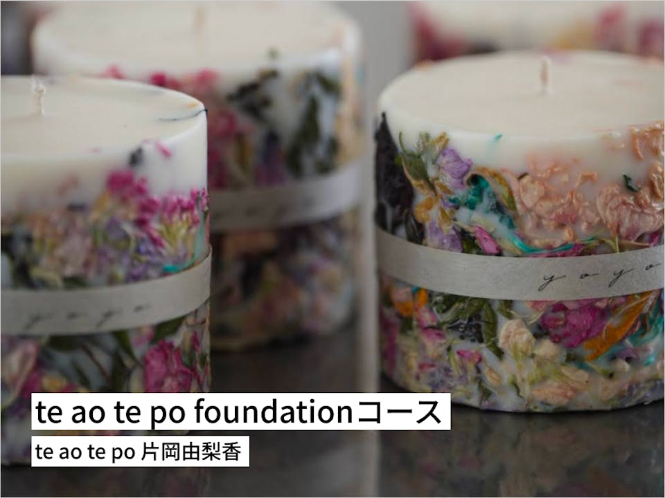 te ao te po foundationコース【全35レッスン一括受講】
