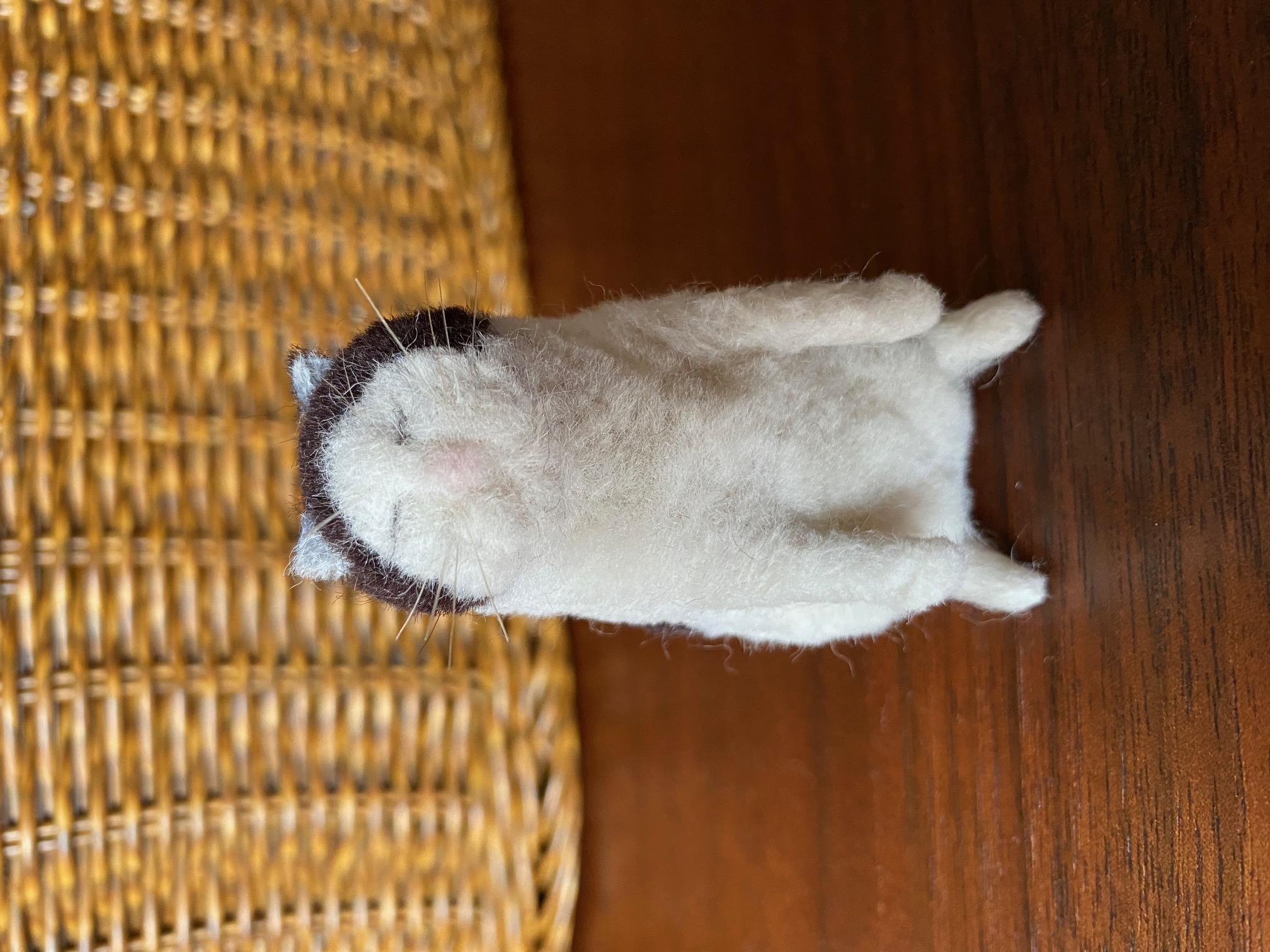 MEBARUが教える！はじめての羊毛フェルト講座 -白黒猫編-を受講したライスさんの作品