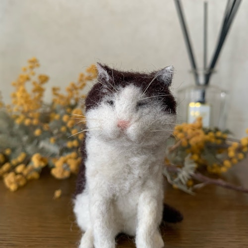MEBARUが教える!はじめての羊毛フェルト講座 -白黒猫編-を受講したtenkoさんの作品