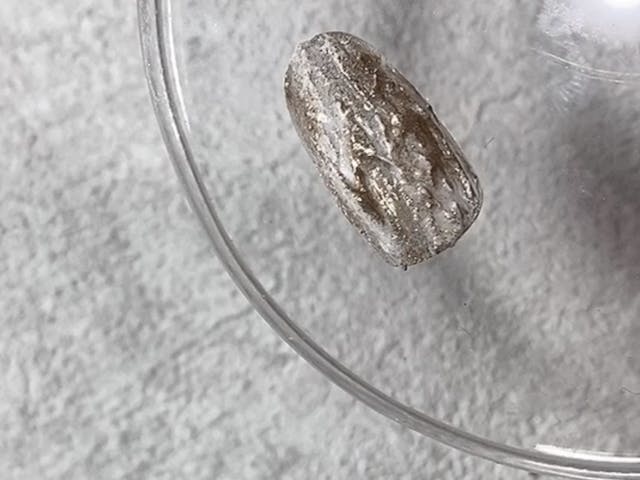 時短！誰でもできる！超簡単ﾆｭｱﾝｽのやり方