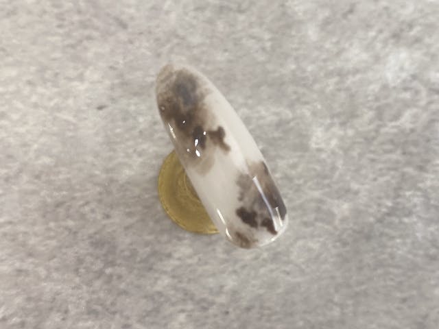 こなれ感たっぷり♡ニュアンスダルメシアン　やり方