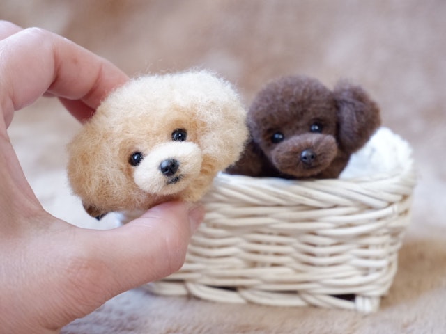 プードルの顔ブローチ2、目鼻周りの植毛のやり方