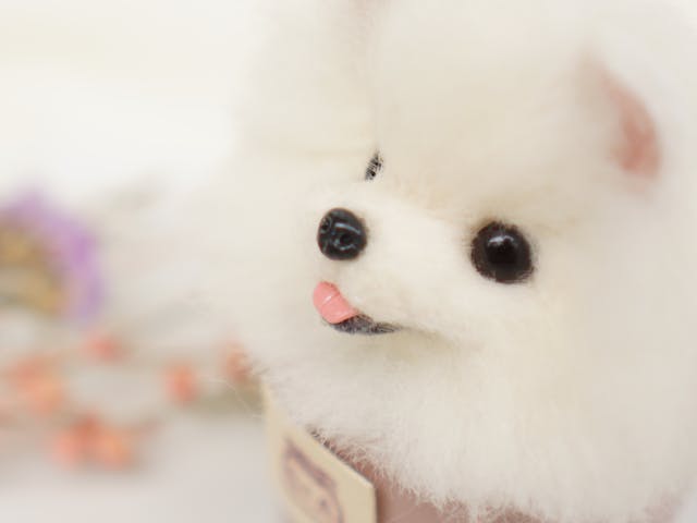 ツヤツヤのお鼻と舌の作り方