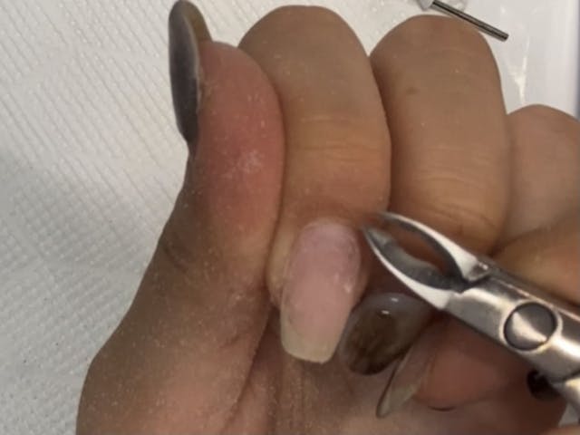 何度も繰り返し見れる動画レッスン