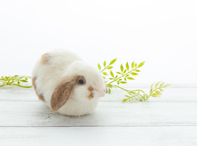 リアルうさぎの作り方①（ロップイヤー）