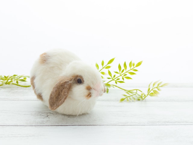 動画 リアルうさぎの作り方 ロップイヤー Fantist 動画 リアルうさぎの作り方 ロップイヤー Fantist