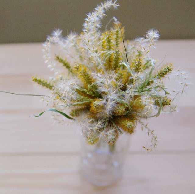 自然の中に溶け込むということ