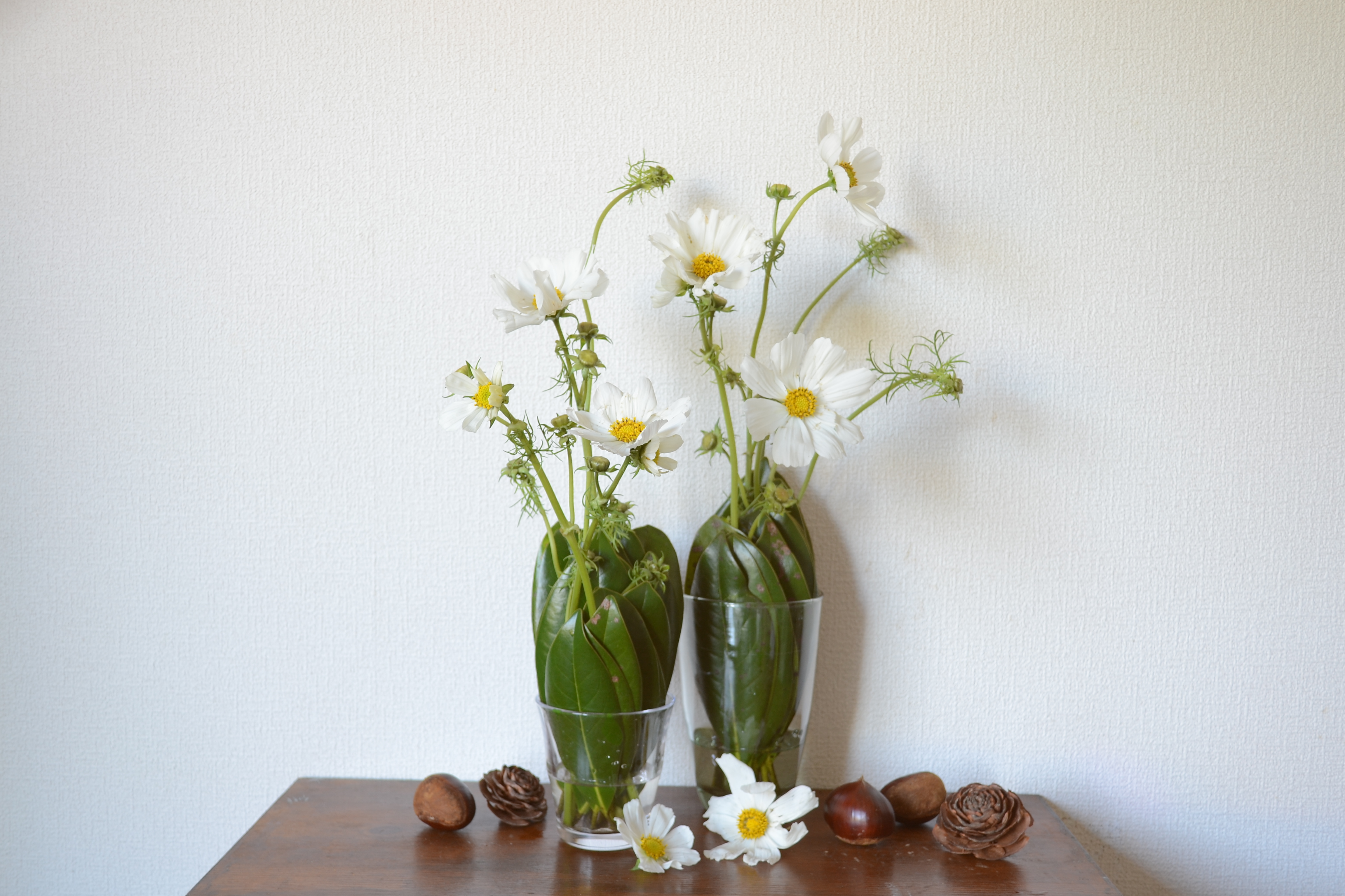 タイサンボクの葉を使ったアレンジメント