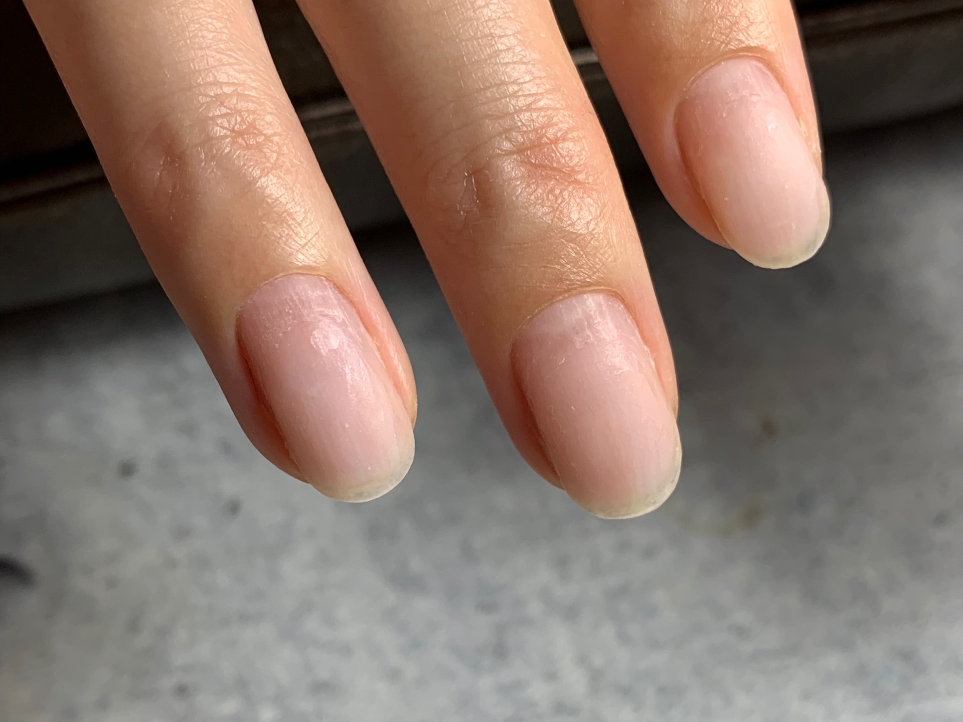 フィルイン動画