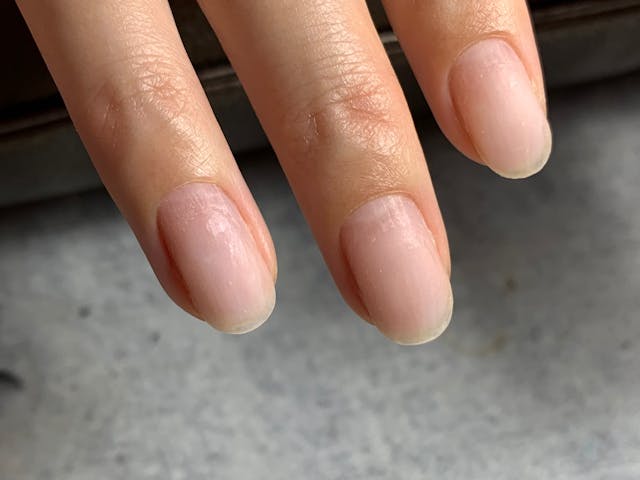 フィルイン動画