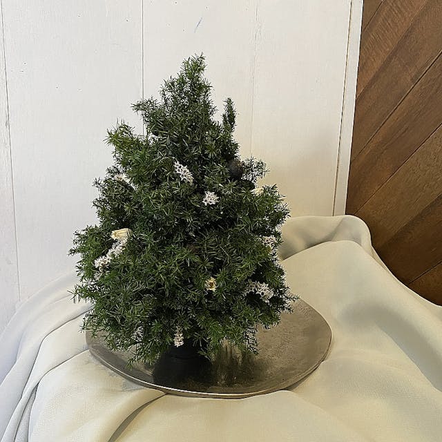 クリスマスツリーポット