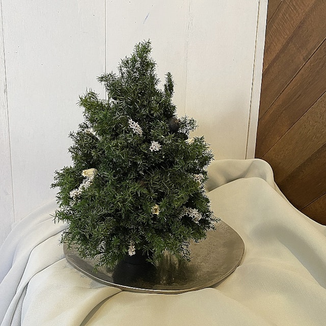クリスマスツリーポット