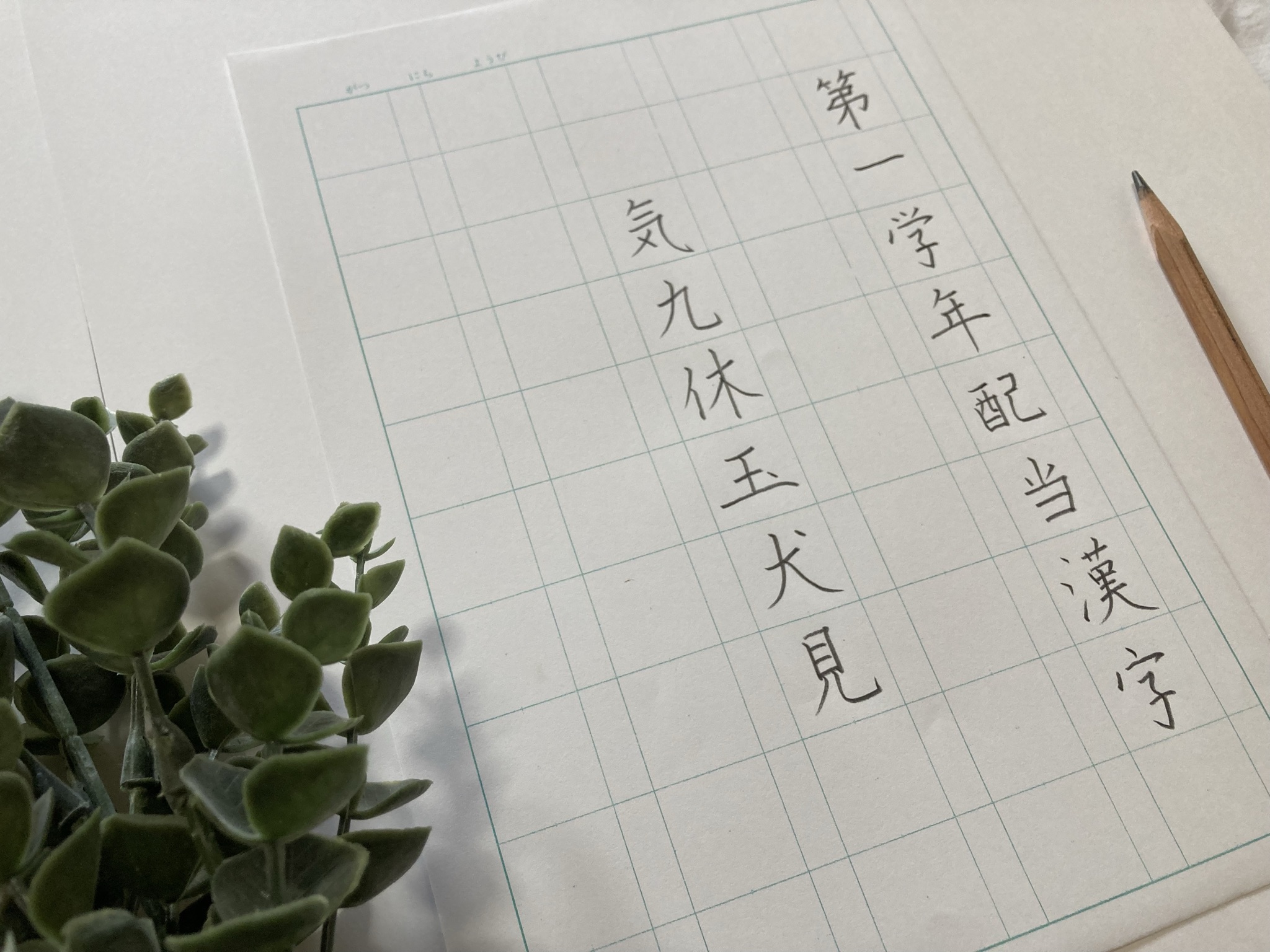 気九休玉犬見　小学校1年生配当漢字より6文字※お手本付き練習用紙ダウンロードできます