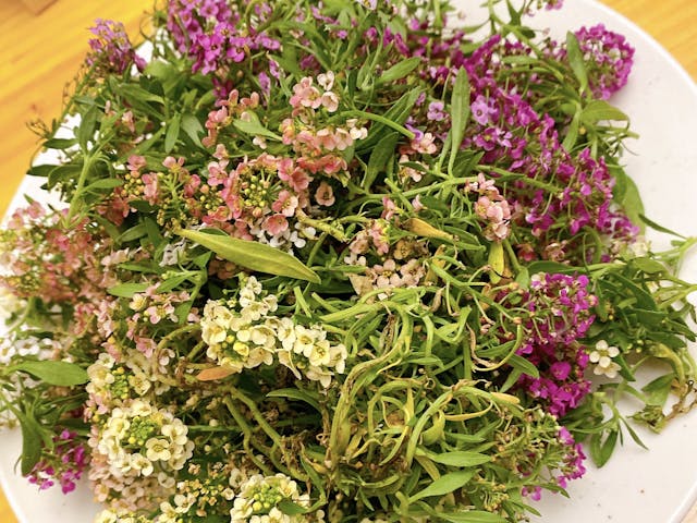 ドライフラワーの作り方