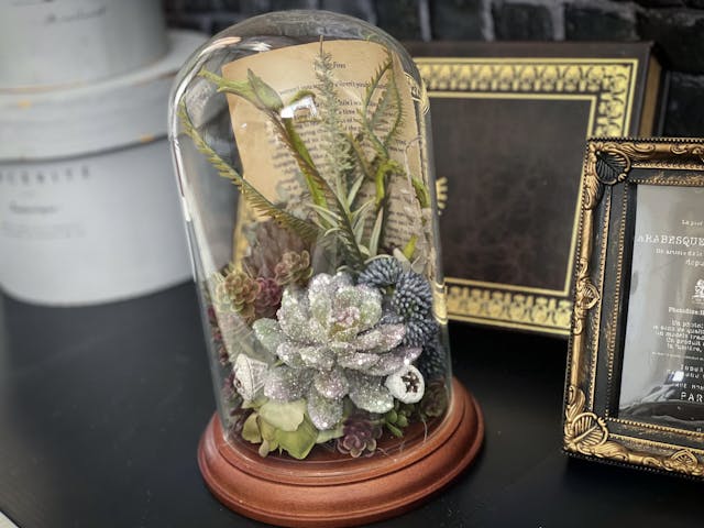 多肉アレンジ🌵ブルックリンスタイル