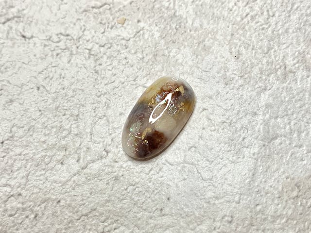 奥行きホワイトべっ甲