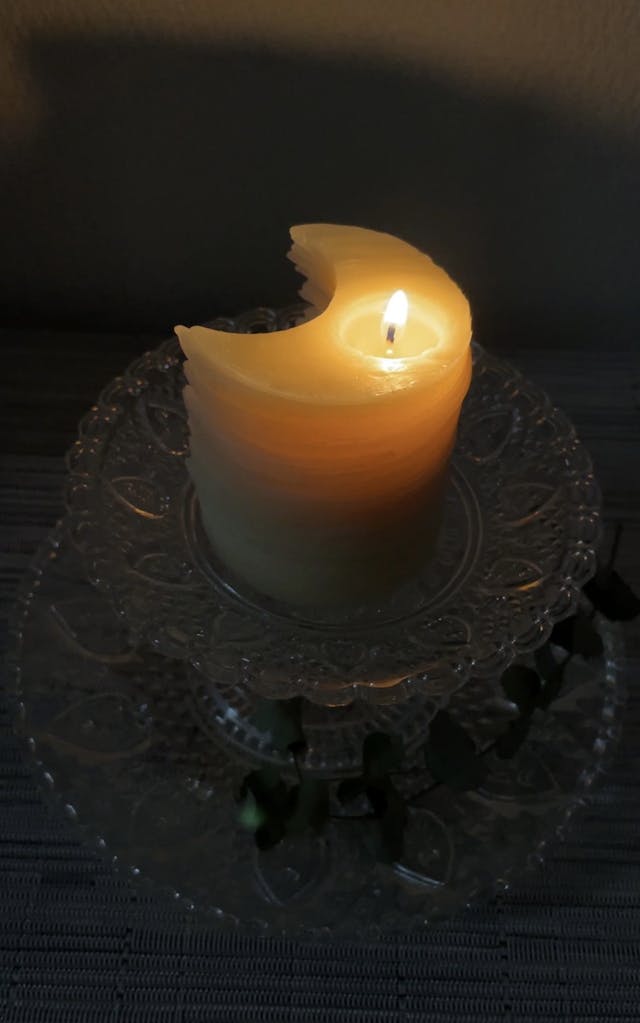 動画レッスンの特徴