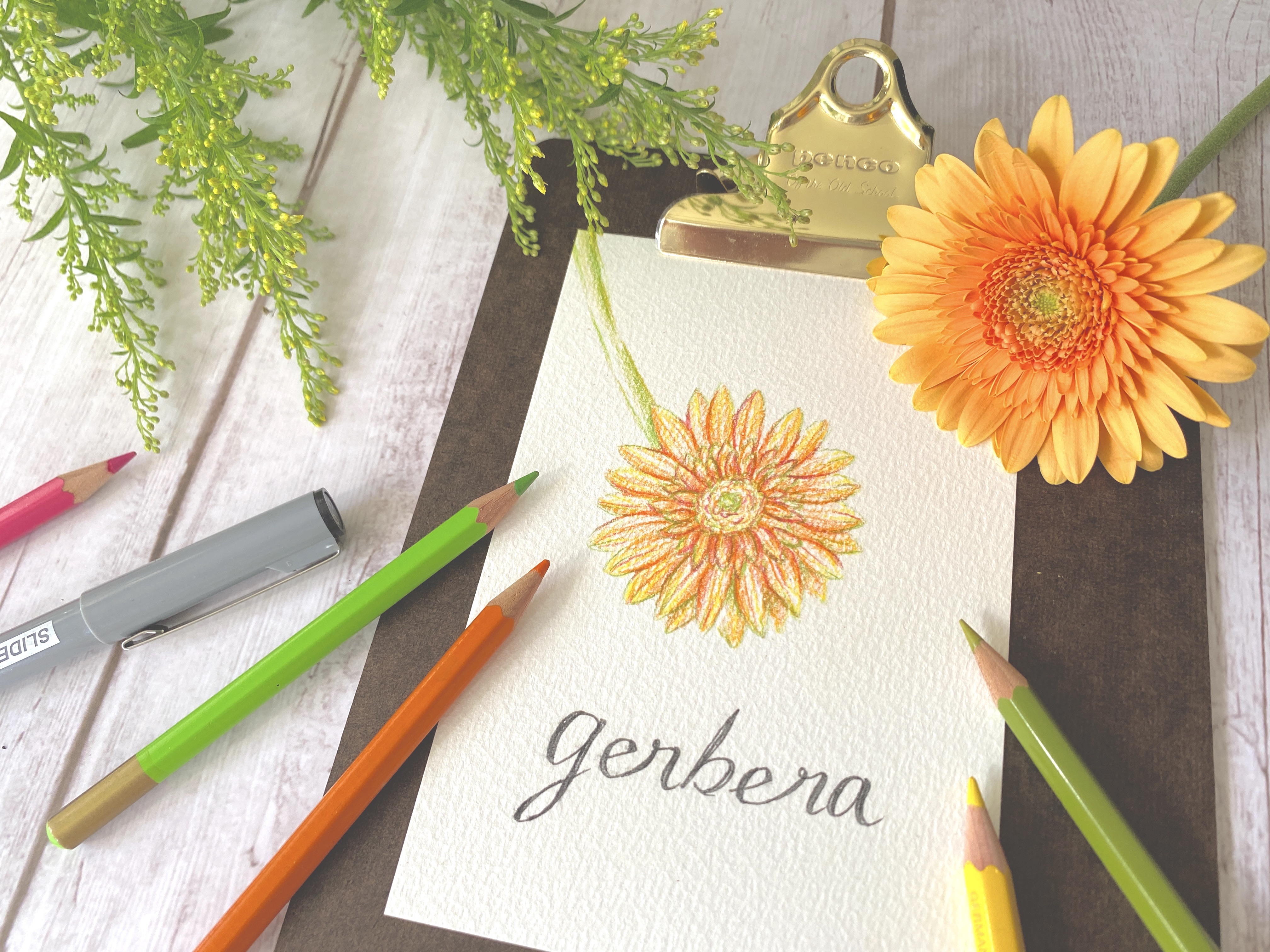 1_道具説明&ガーベラ下がき&色鉛筆塗り