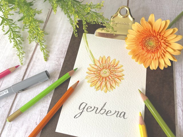 1_道具説明&ガーベラ下がき&色鉛筆塗り