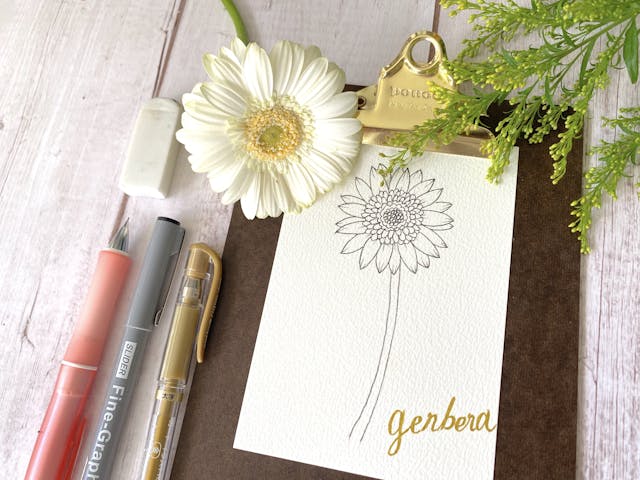 2＿ガーベラ ペン線画
