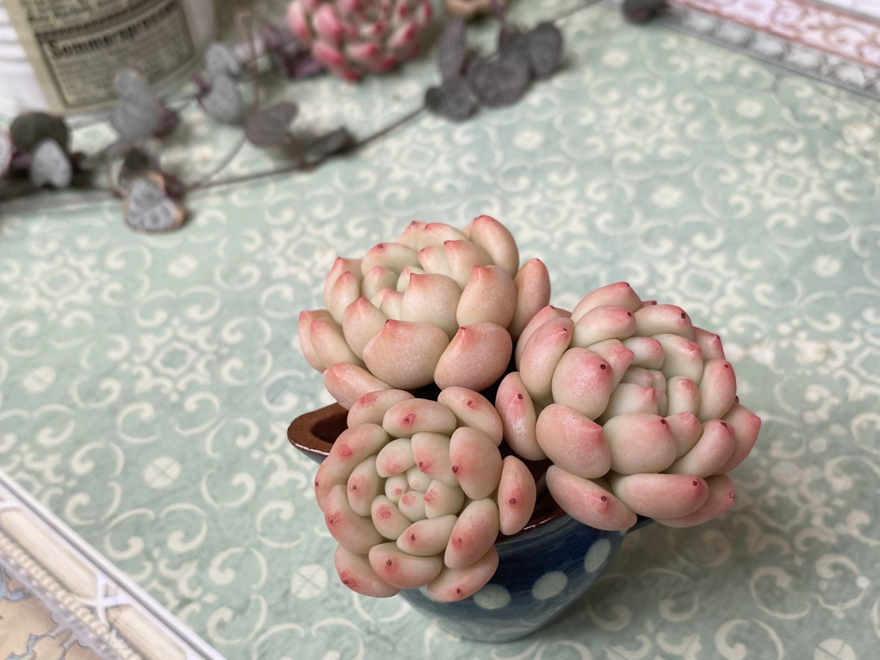 Lesson 08 オレンジモンローの作り方