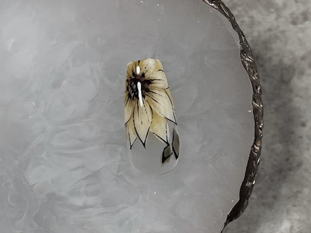 大人気ひまわりHow to