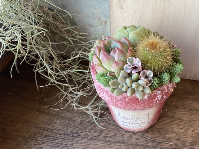 ２.5号鉢でラウンドの基本寄せレッスンです