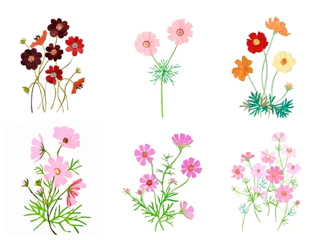 癒しのコスモスペーパーコラージュの作り方