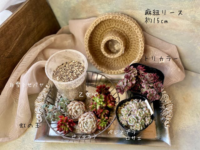 粒々セダムの美味しそうなリースlesson！