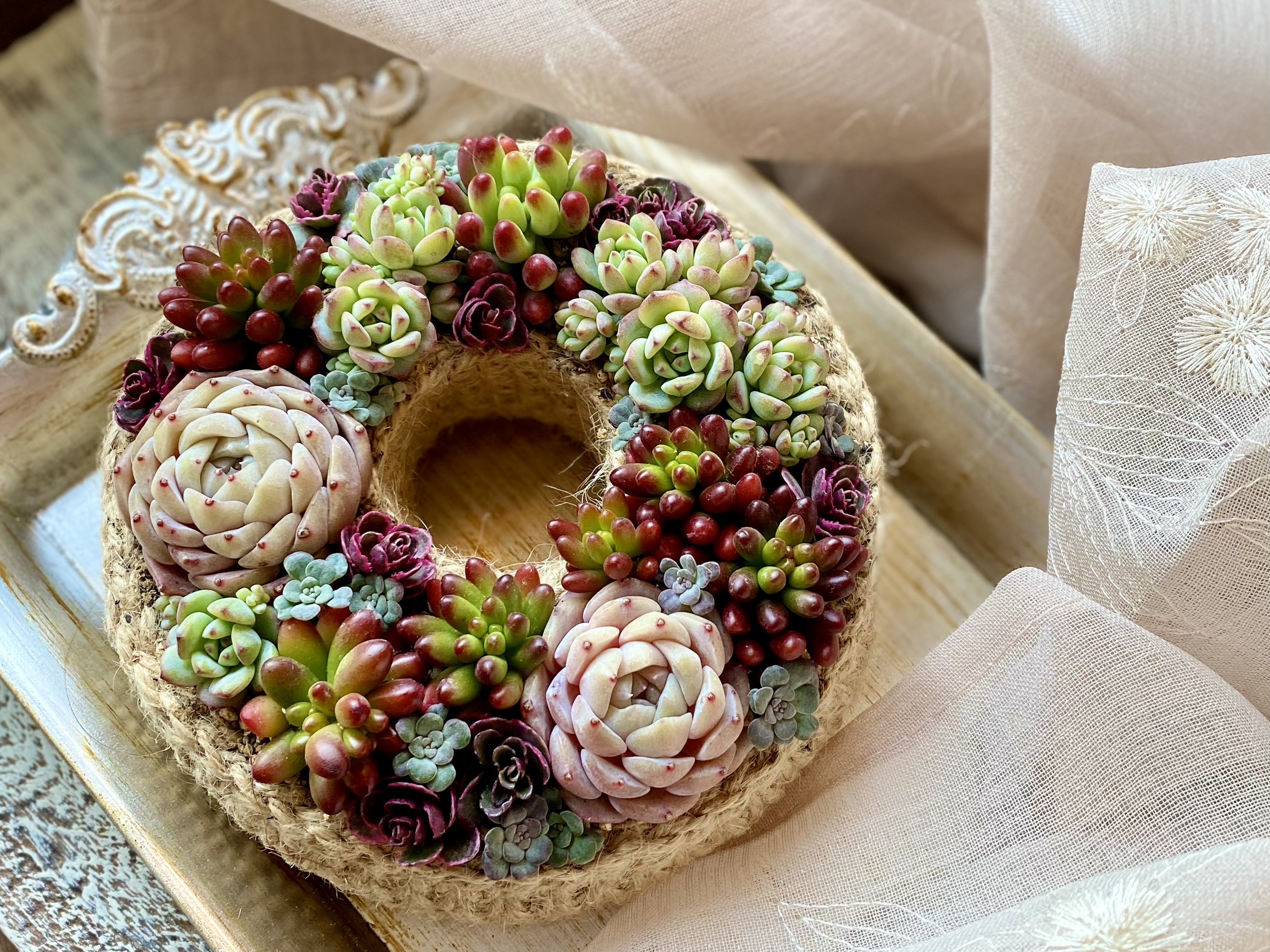 多肉寄せ植え・粒々タルトのリースのやり方