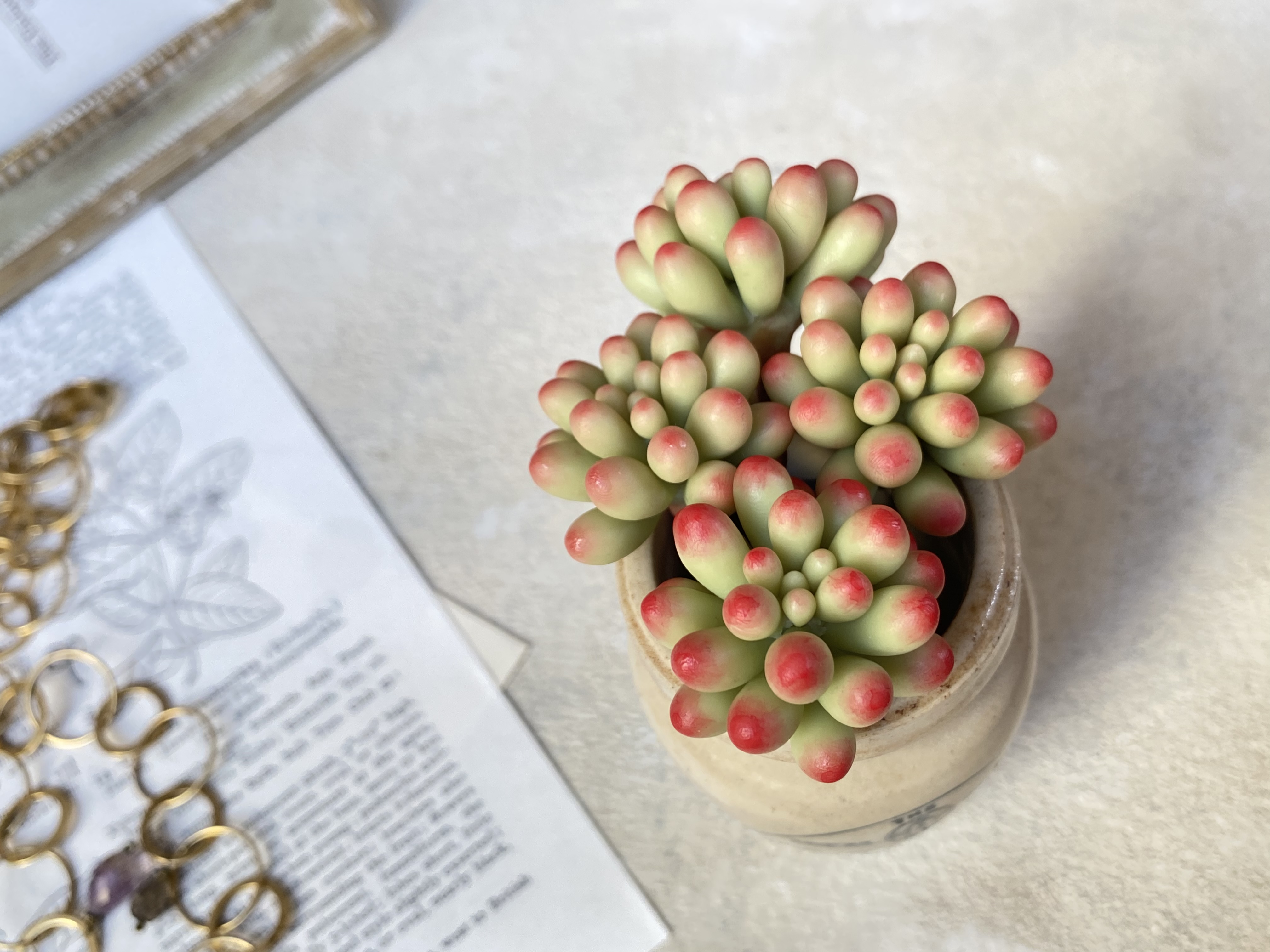 中級編6 乙女心の作り方の紹介画像1