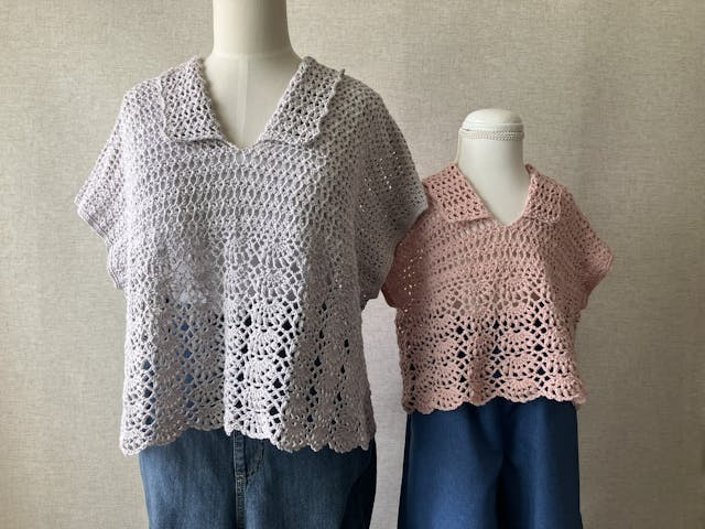 このレッスンについて