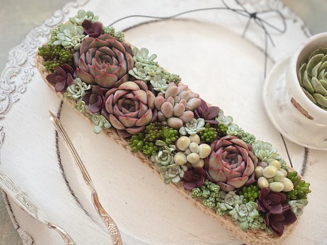 多肉寄せ植え・レクタングルの壁掛けの作り方