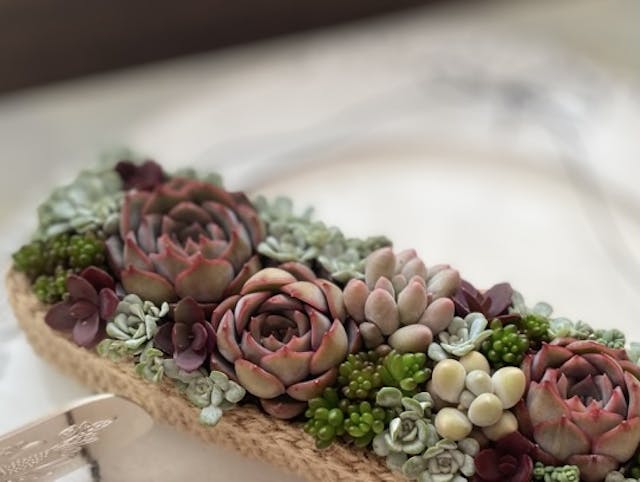 このレッスンについて