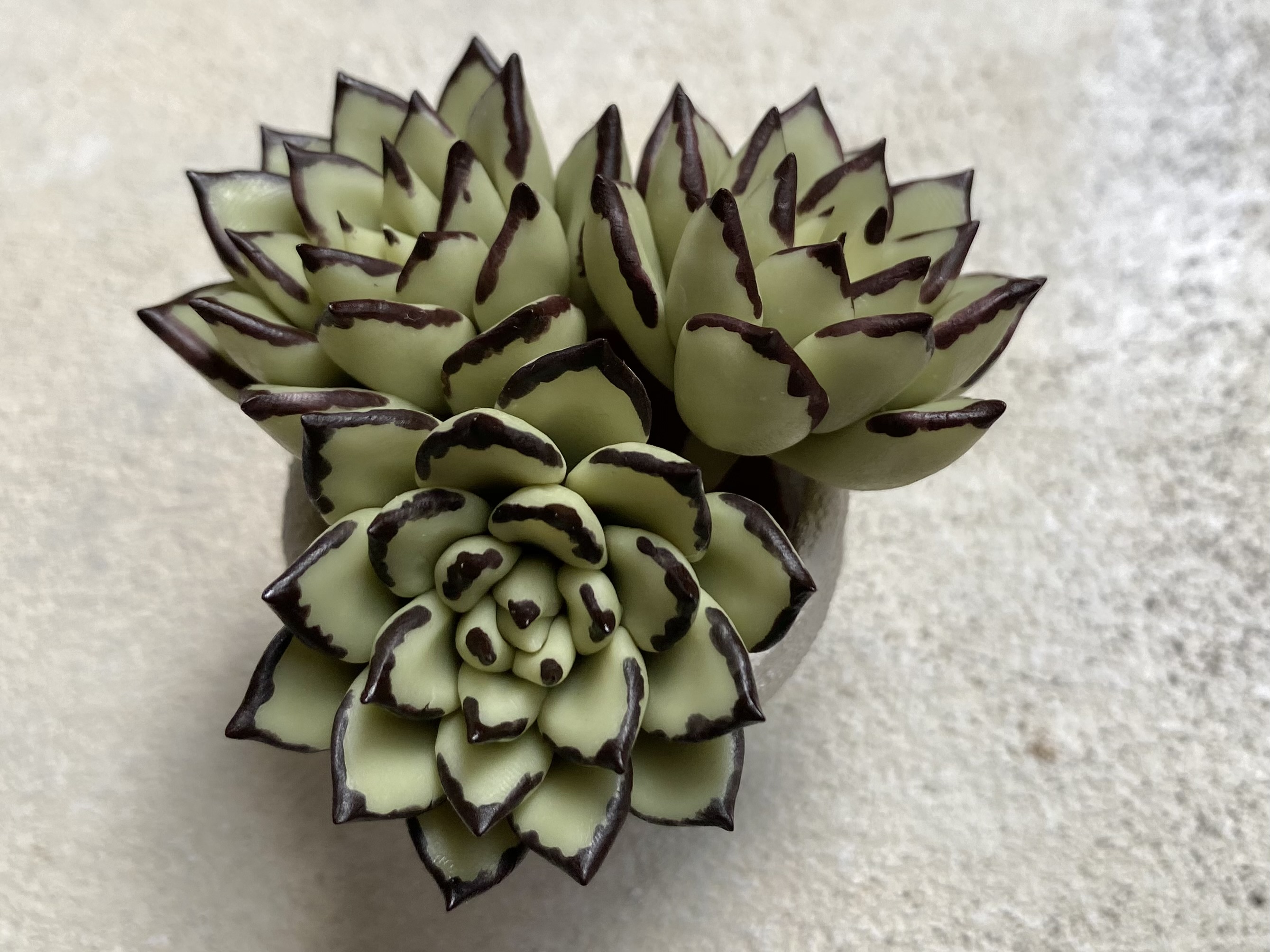 中級編10 エボニーの作り方