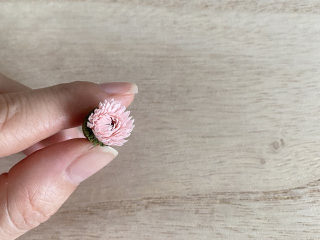 レッスンについて