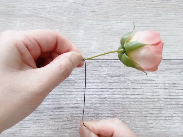 レッスン内容について