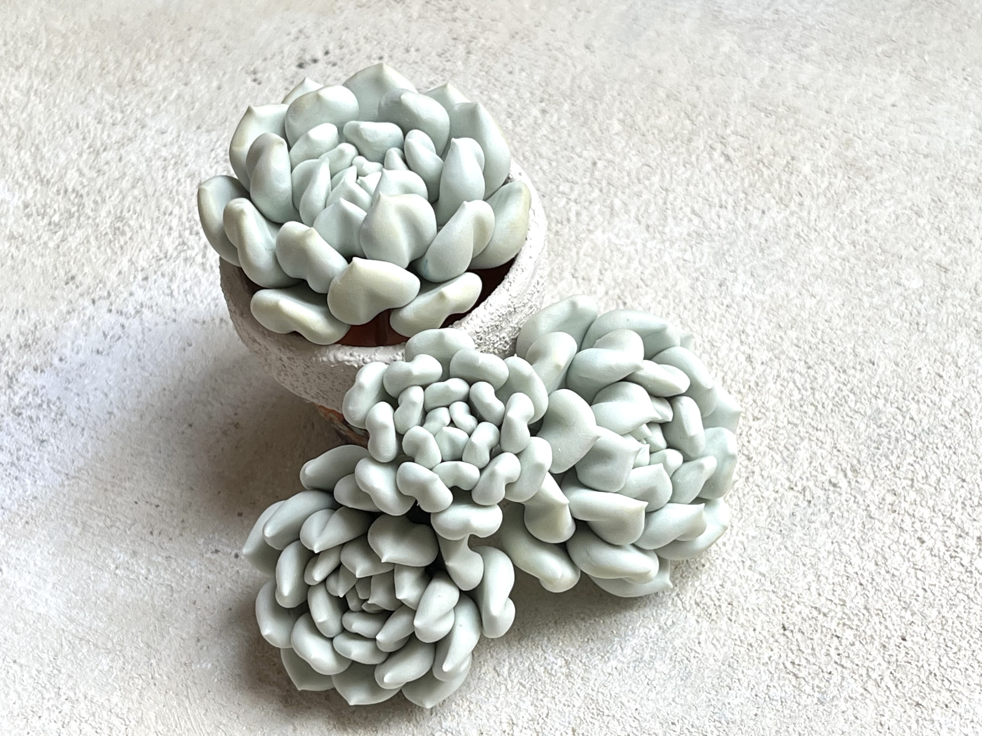 中級編12 トップシータービーの作り方