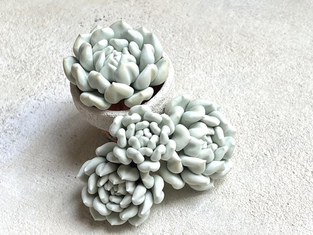 中級編12 トップシータービーの作り方