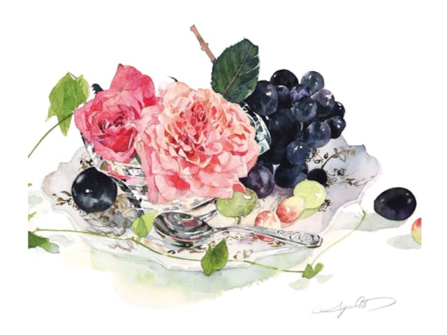 Video 2 柘植彩子水彩ビデオシリーズ２「バラと葡萄を描く」