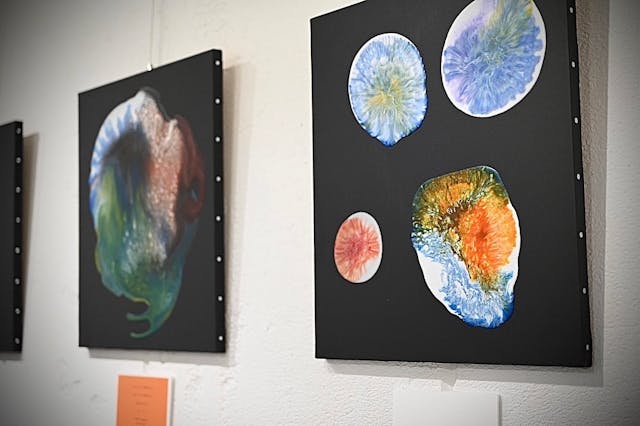 こんな方にオススメ