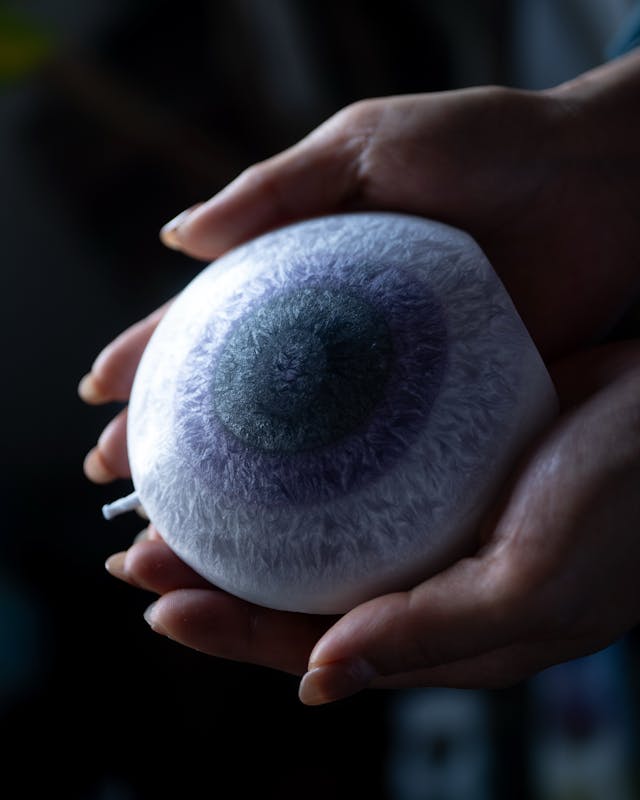 おすすめポイント