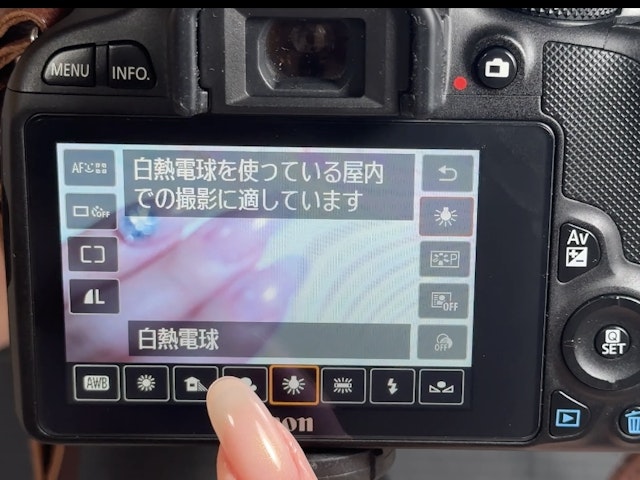 学べること