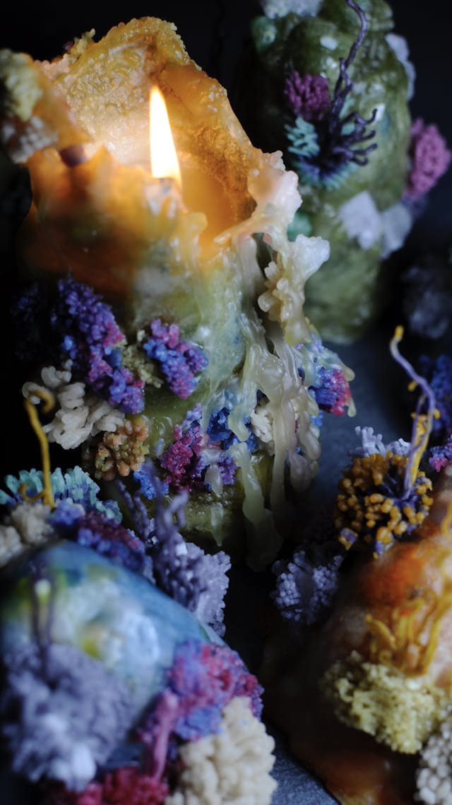 このレッスンについて