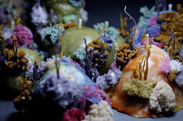 moss candleの作り方